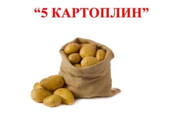5-картоплин-благодійна-акція
